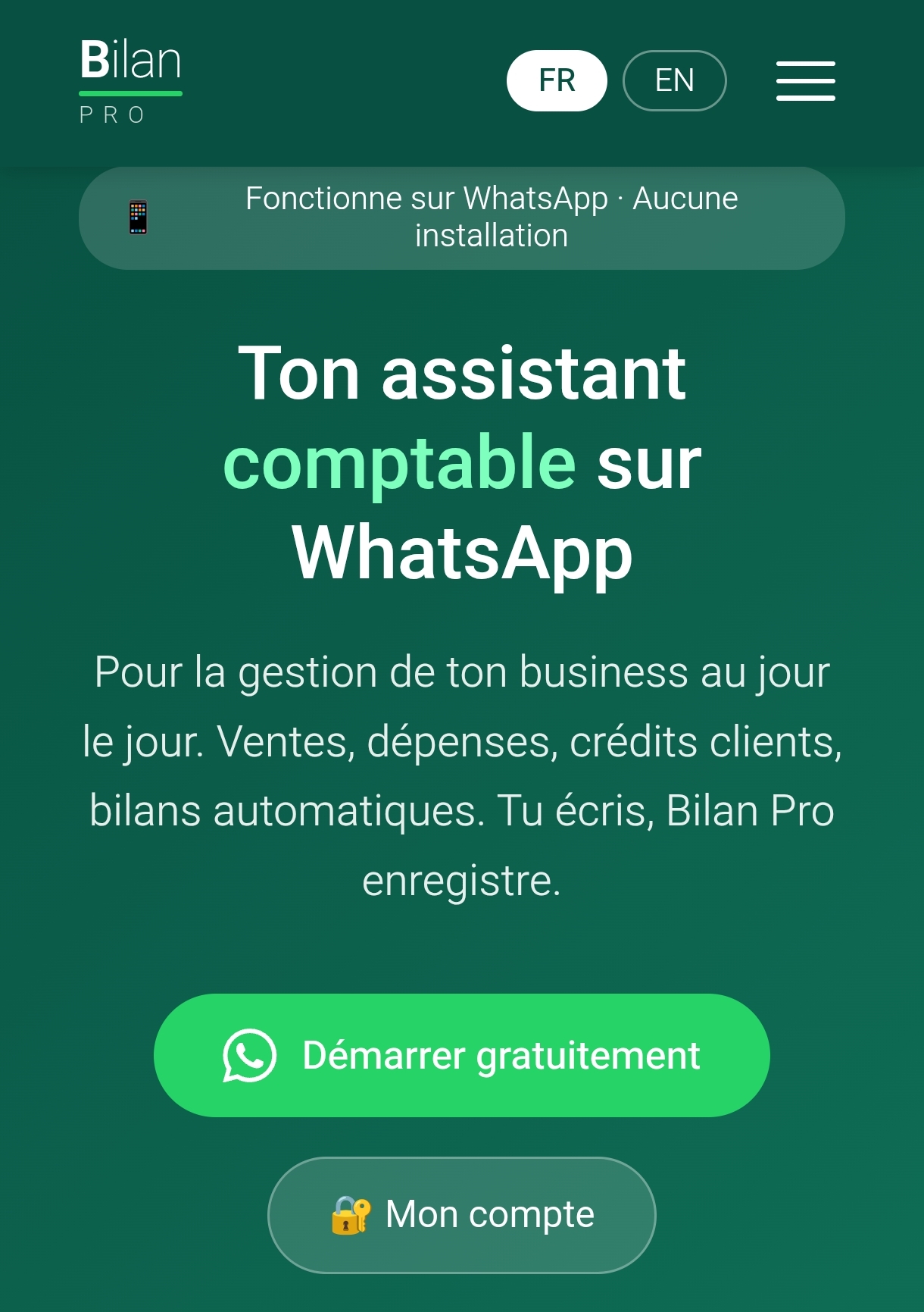 Page d'accueil Bilan Pro